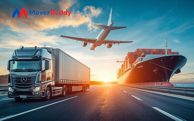 International Relocation image